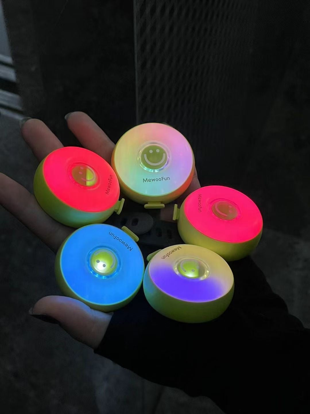 Mewoofun LED Pet Safety Light