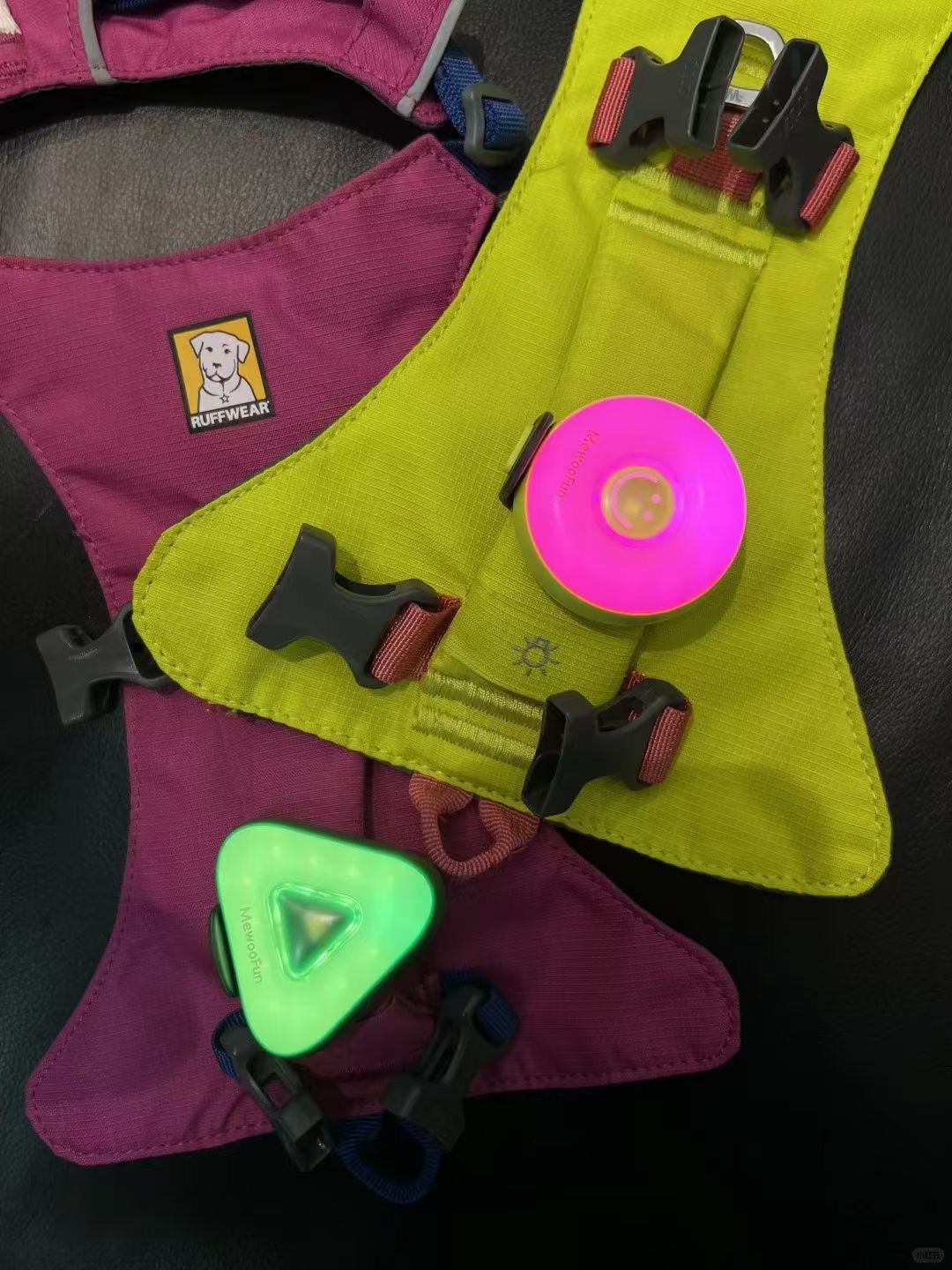 Mewoofun LED Pet Safety Light