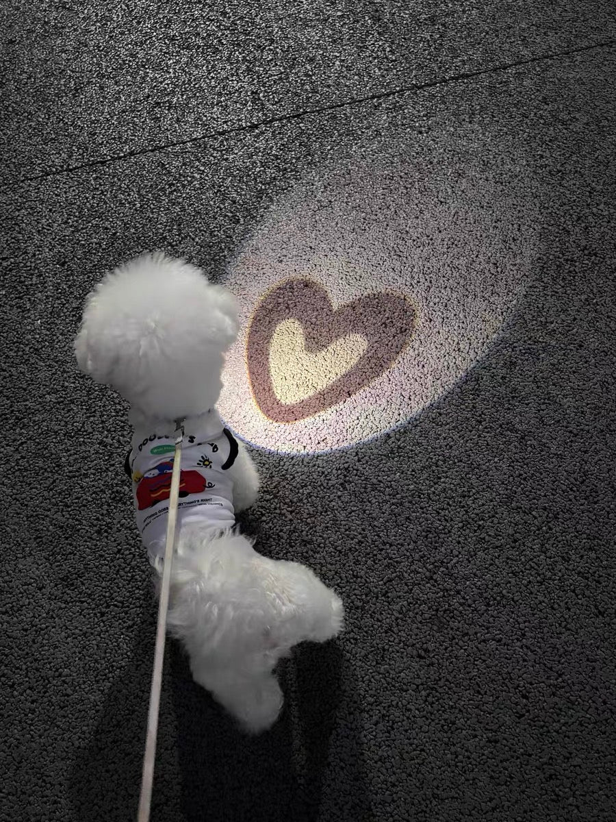 Heart Projection Dog Collar Light