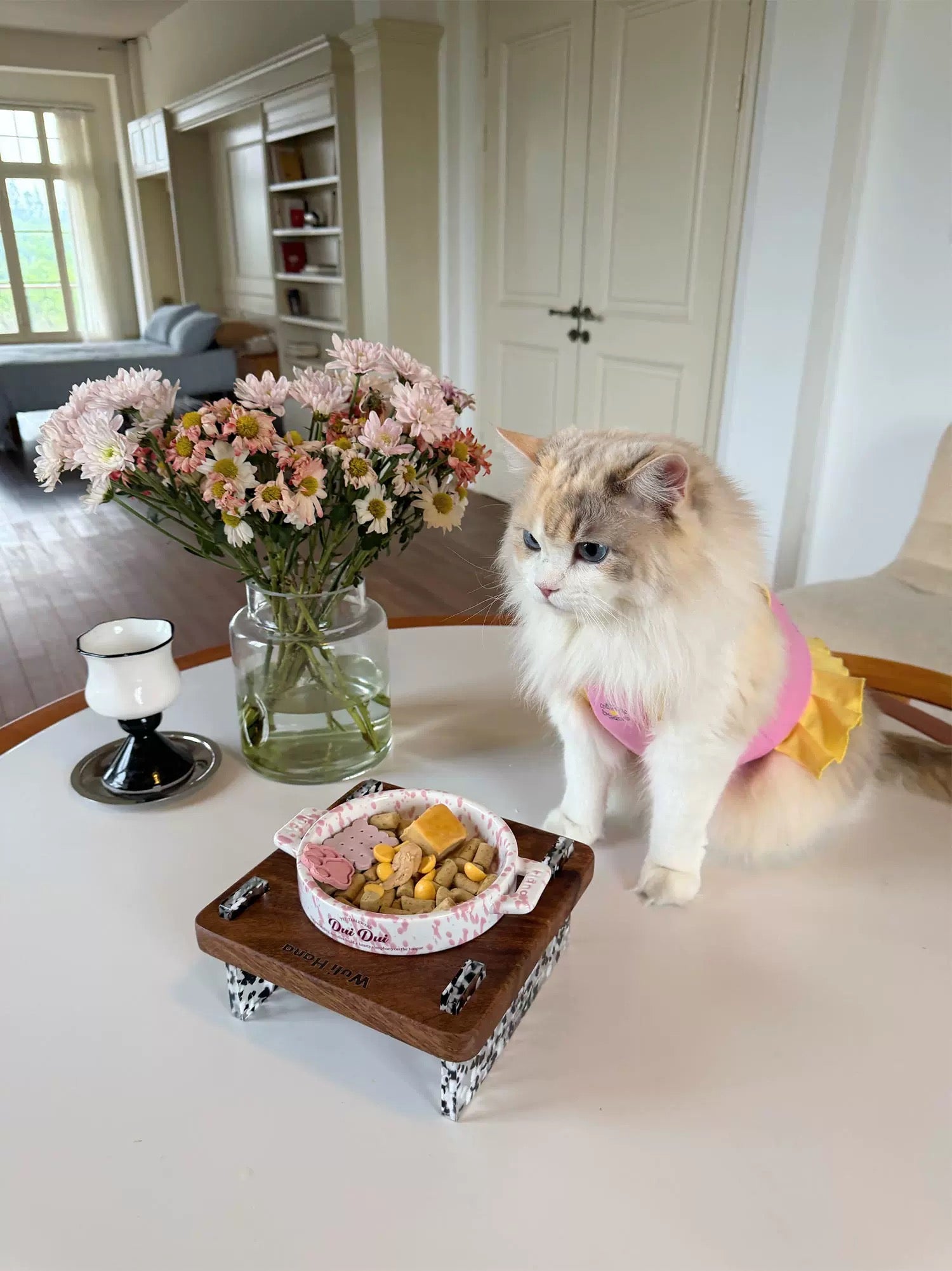 Wulihana Soft-Tone Pet Tableware