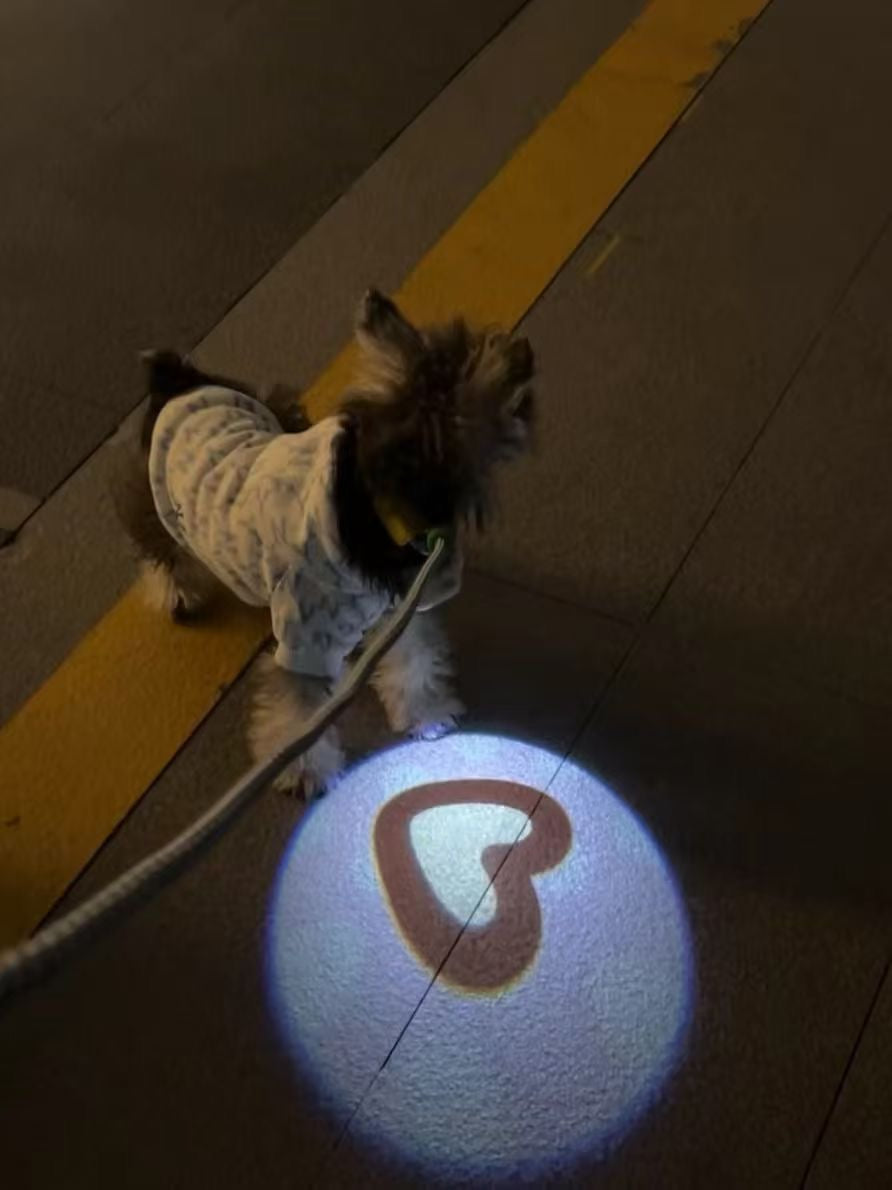 Heart Projection Dog Collar Light