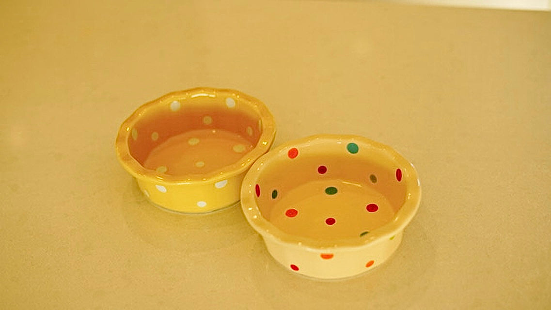 Bubble Barkie Colorful Polka Dot Pet Bowl